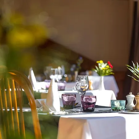 Hotel Les Grillons 3*