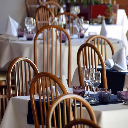 Hotel Les Grillons 3*